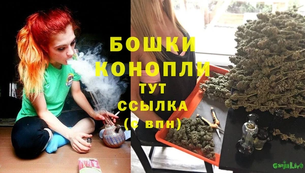 бошки Няндома