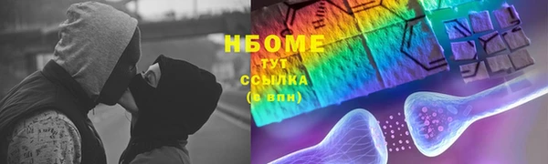 бошки Няндома
