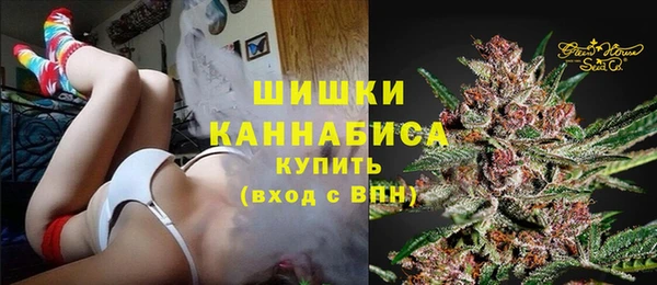 бошки Няндома