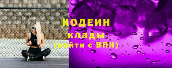 мет Новозыбков