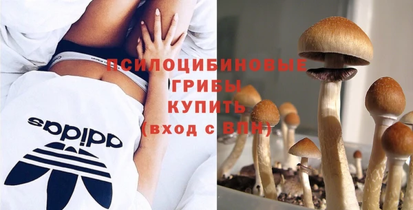 МДМА Новокубанск