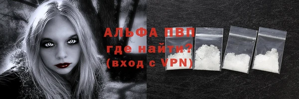 прущие грибы Нея